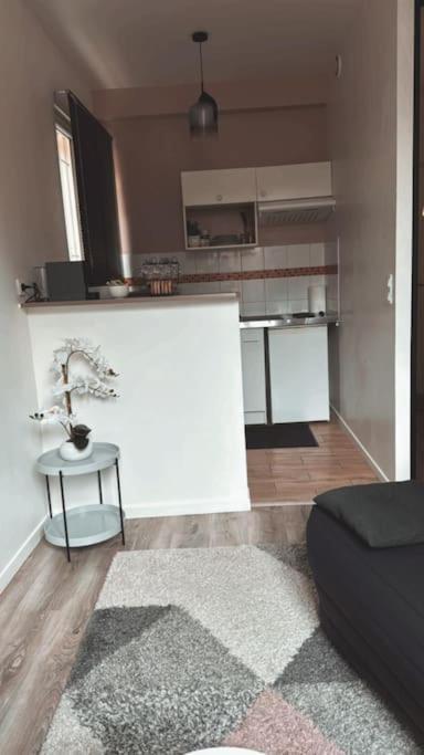 Beautiful F2 Apartment 5 Stops By Train From Paris Море-сюр-Луен Екстер'єр фото